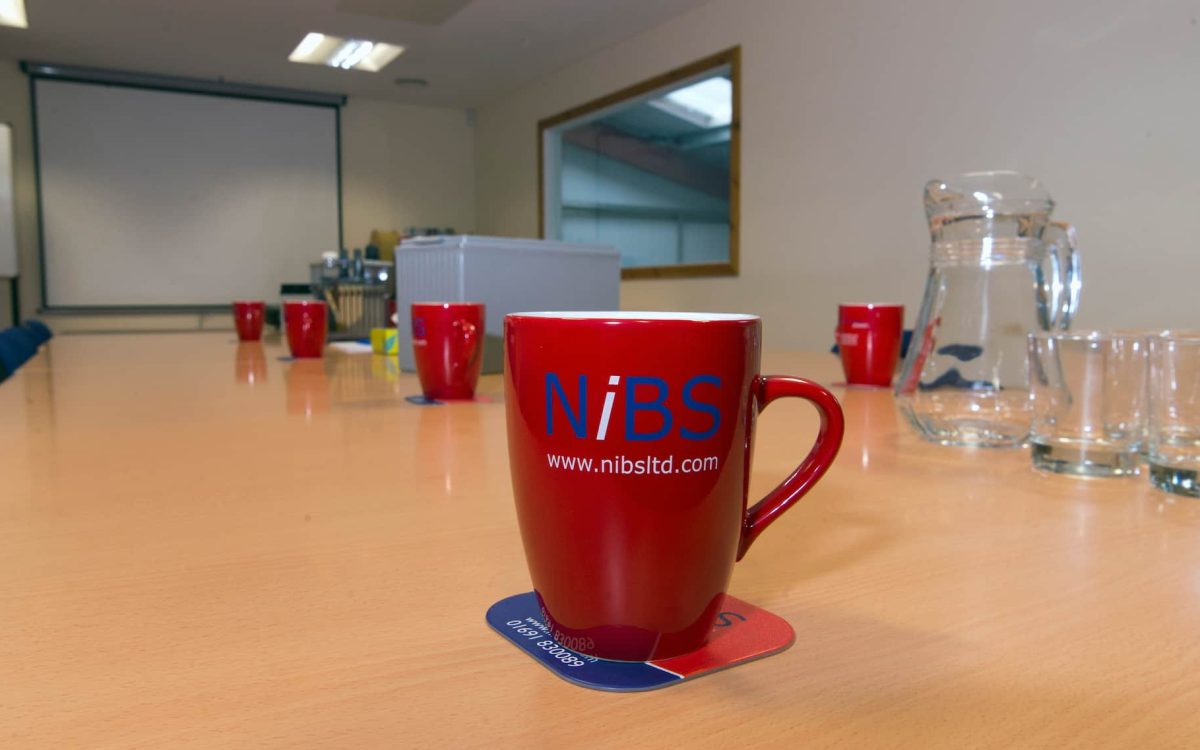 Training Northern Industrial Battery Services Ltd (NiBS)